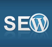 wordpress seo services faridabad